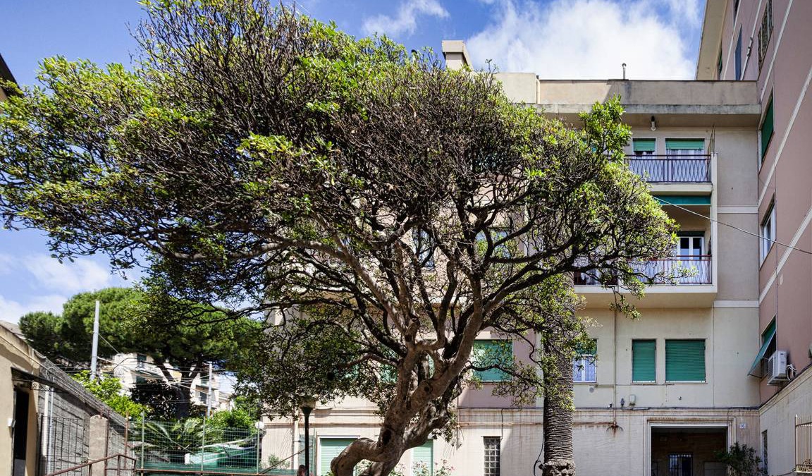 Quarto dei Mille Apartment | 65 m² Apartment ∙ 1 bedroom ∙ 4 guests