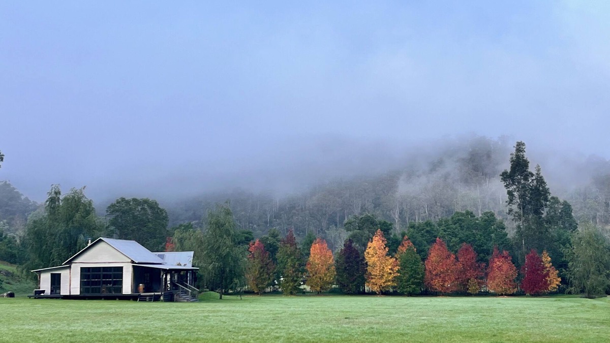 Wollombi Other | 7 minutes from Wollombi town, 5 acre property with cozy house and separate barn.