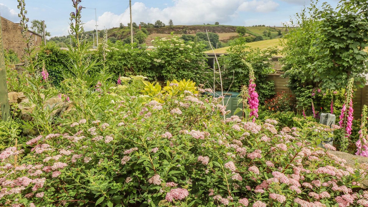 Haworth Cottage | 8 Lune Street
