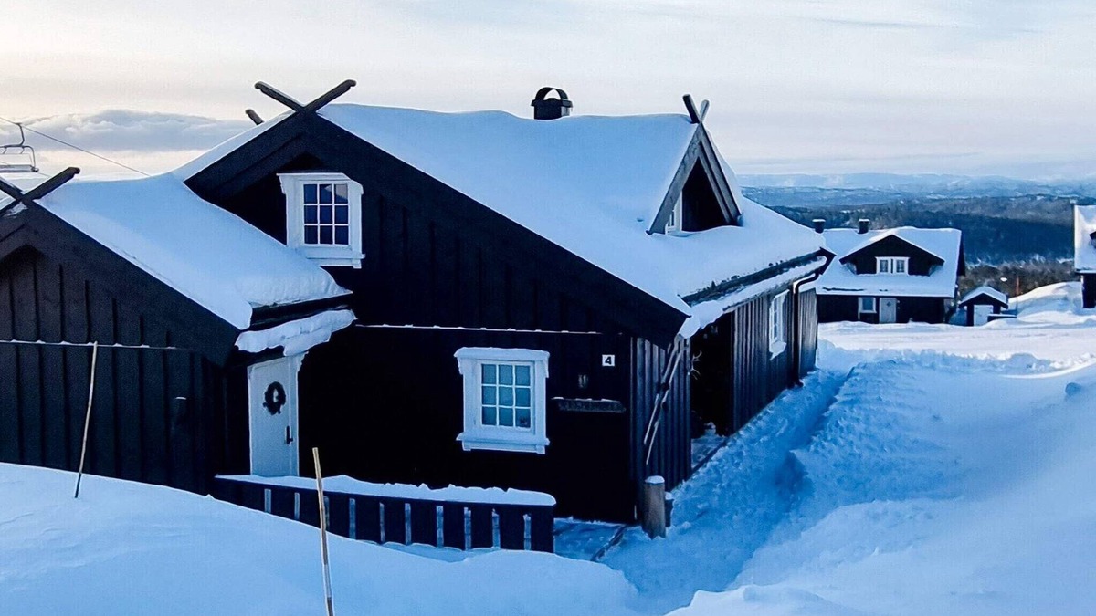 Rauland House | 9 person holiday home in Rauland