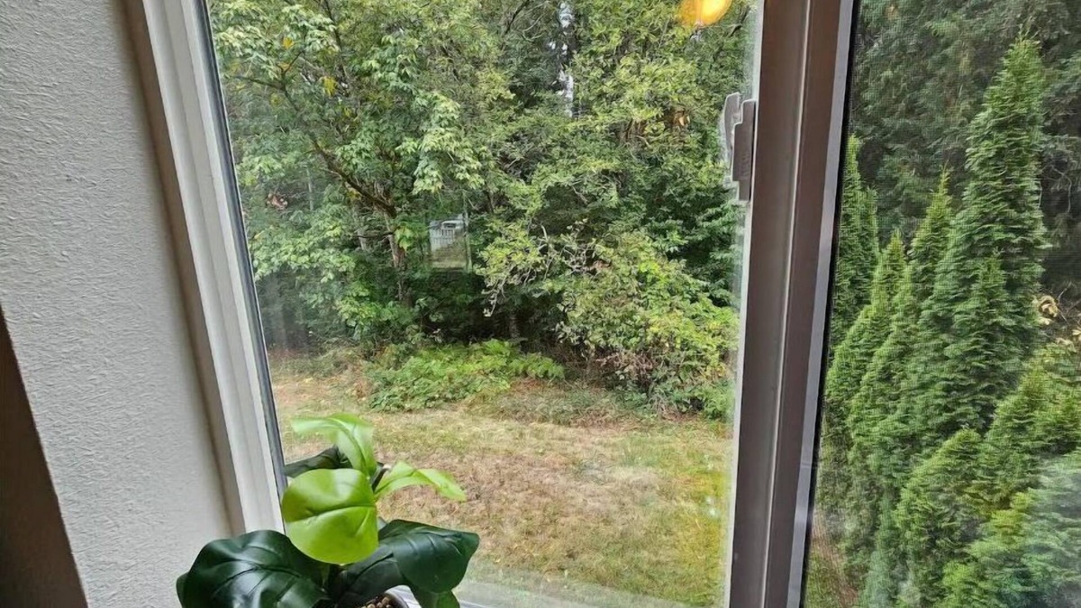 Bonney Lake House | 90s Themed House In the Woods
