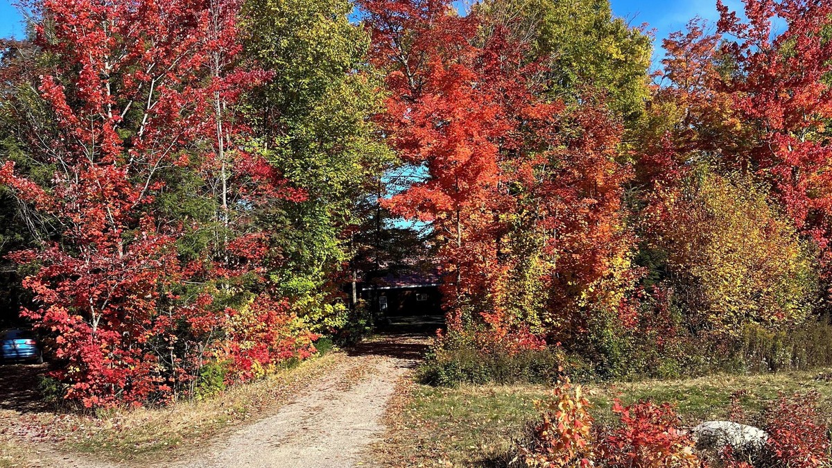 Algoma District Cabin | A beautiful setting for a quiet retreat