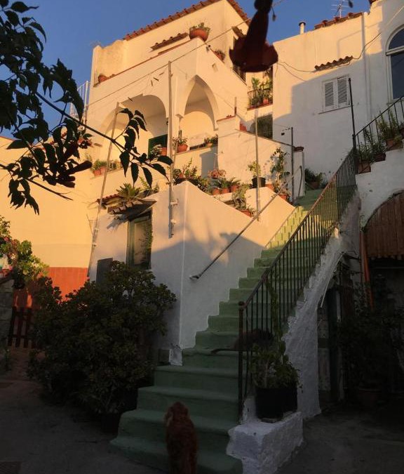Succhivo Apartment | A cas e Rosa