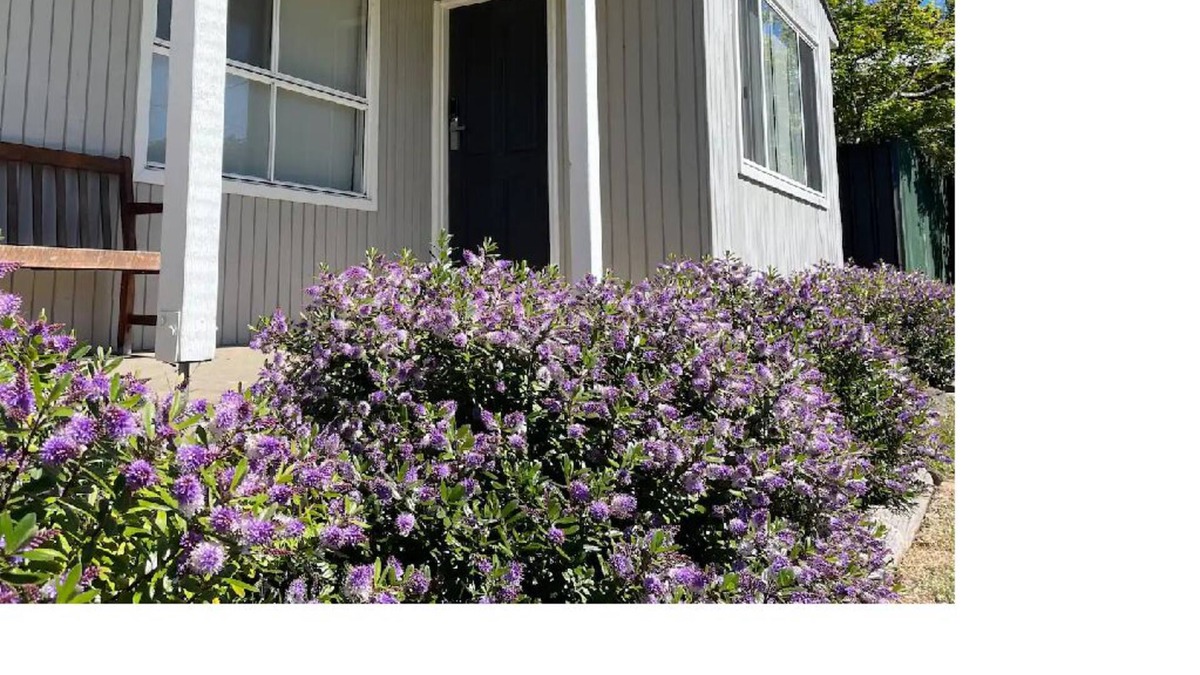 Eildon House | A cosy and quiet retreat, walking distance to town and Eildon pondage.