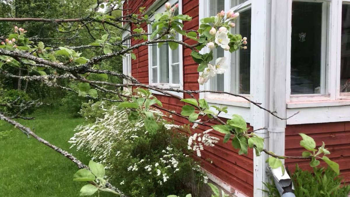 Maxmo House | A cosy little stockhouse the archipelago of Maxmo