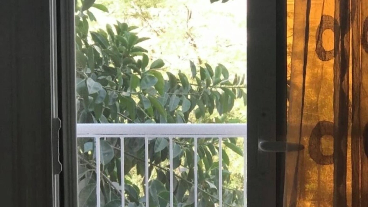 Maadi Apartment | a cozy warm and clean apartment in a residential green area.