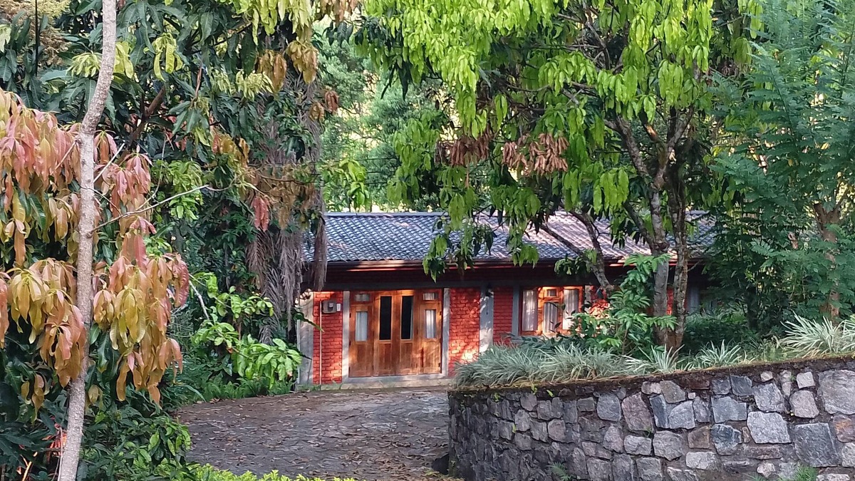 Kandy Ski Chalet | A forest stay, one sip at a time! Warm hospitality in a calm and serene setting.