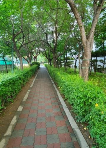 Namyangju Apartment | A Four Leaf Clover House