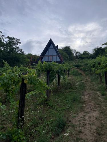 Nana Apartment | A frame Miška