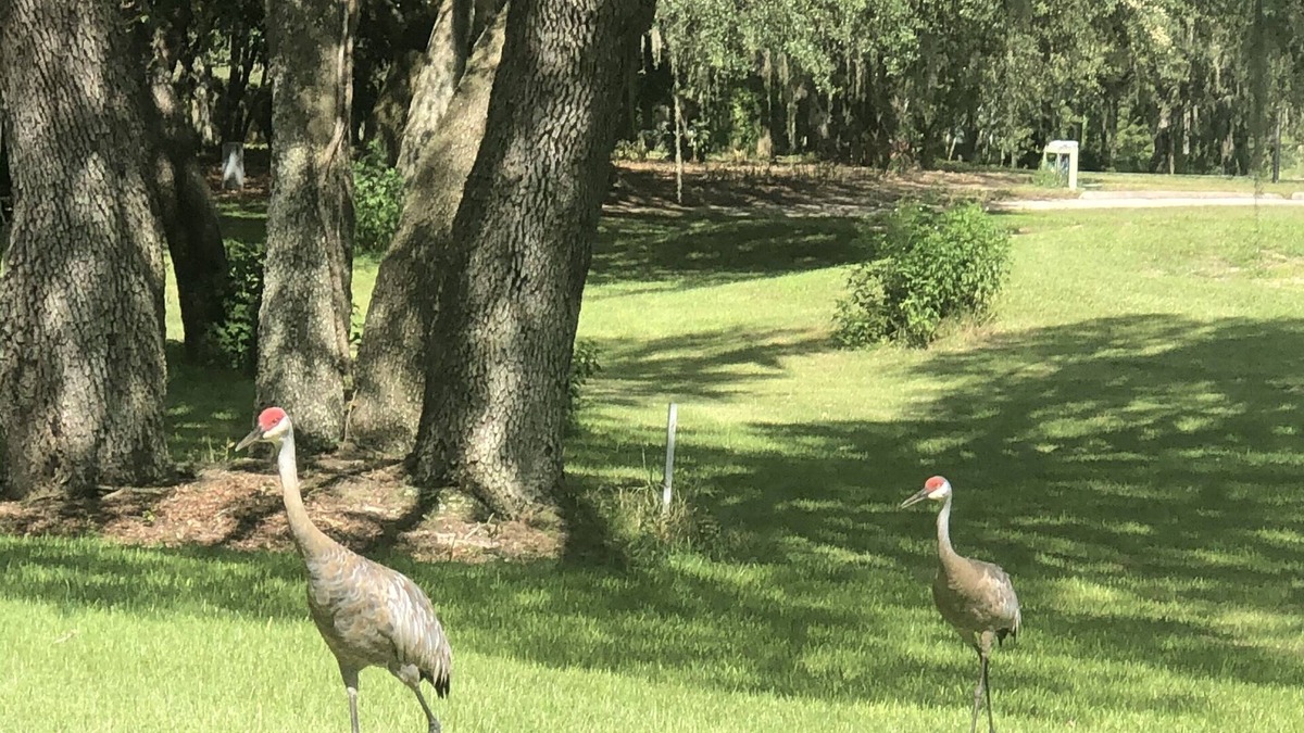 Grenelefe Condo | A Golfer’s Getaway