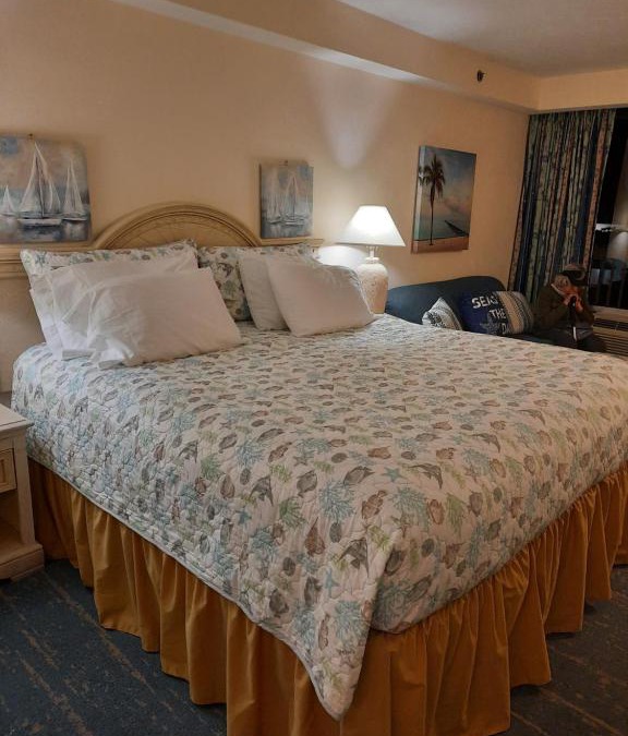 Ortona Park Apartment | A Happy Seashell Story
