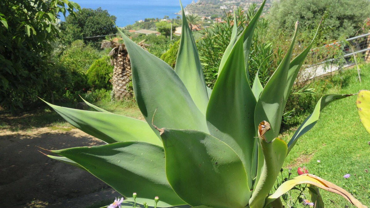 Joppolo House | A house in a quiet, secluded location close to the beach with a superb sea view