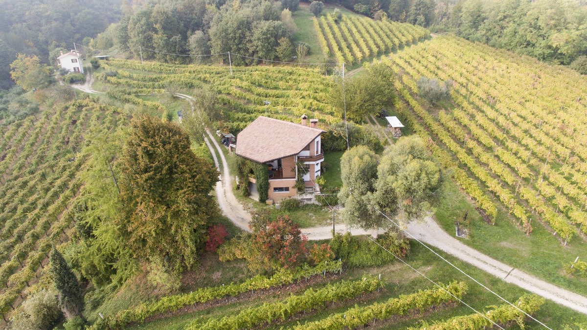 Cornuda House | A house in the vineyard