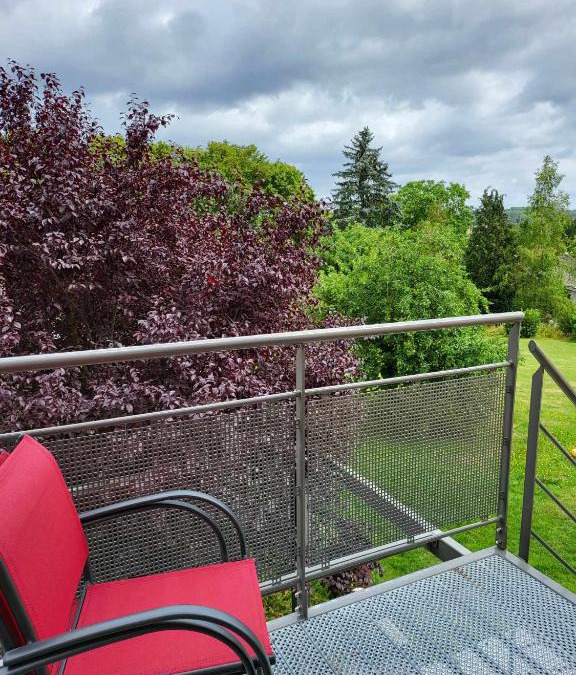 Falmagne Apartment | A la salle de jeux et son jardin autour de la cabane verte