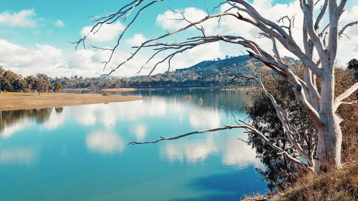 Bonnie Doon House | A little piece of paradise at Bonnie Doon - great for families and large groups.