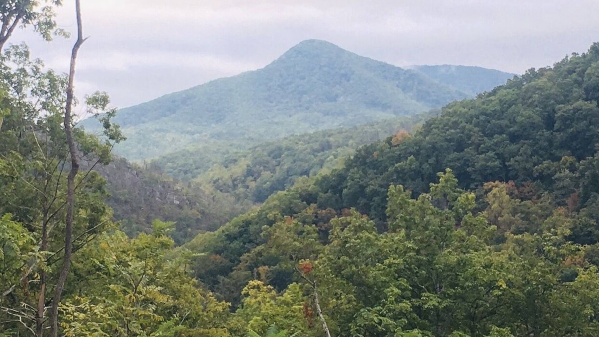 Gatlinburg Cabin | A new cabin only 1 mile from the heart of Gatlinburg!
