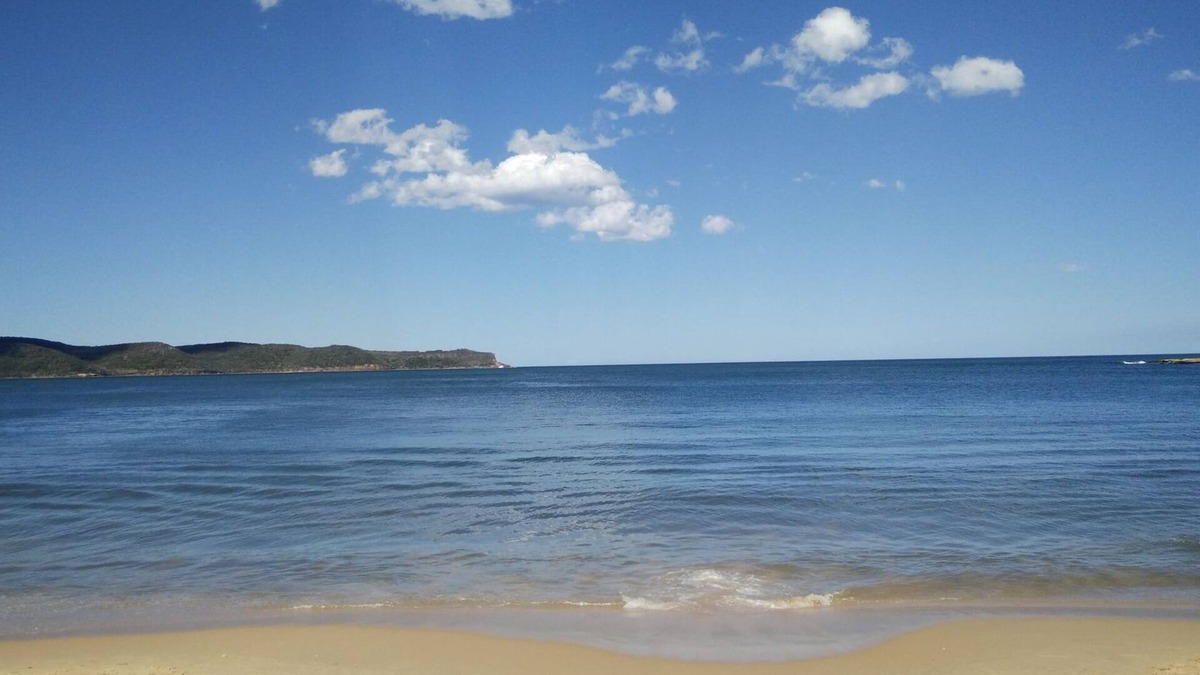 Pearl Beach House | A perfect place for family and pets, just a short stroll to the beach.