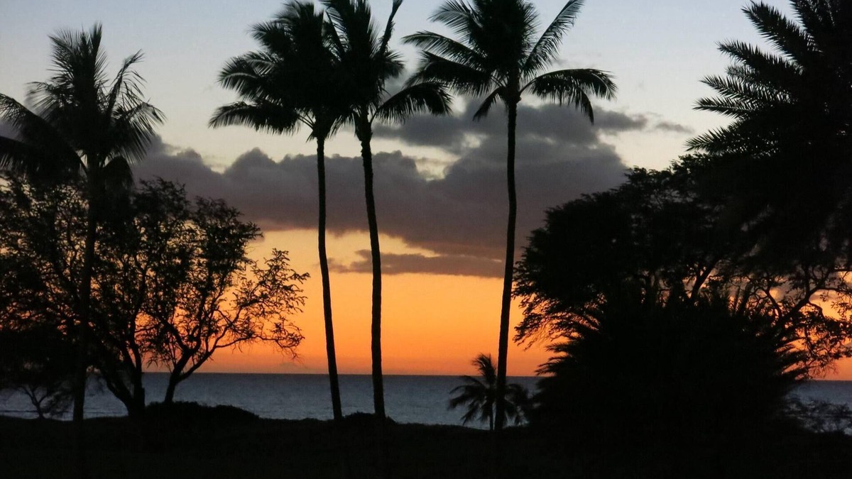 Kihei Condo | A Piece Of Paradise!