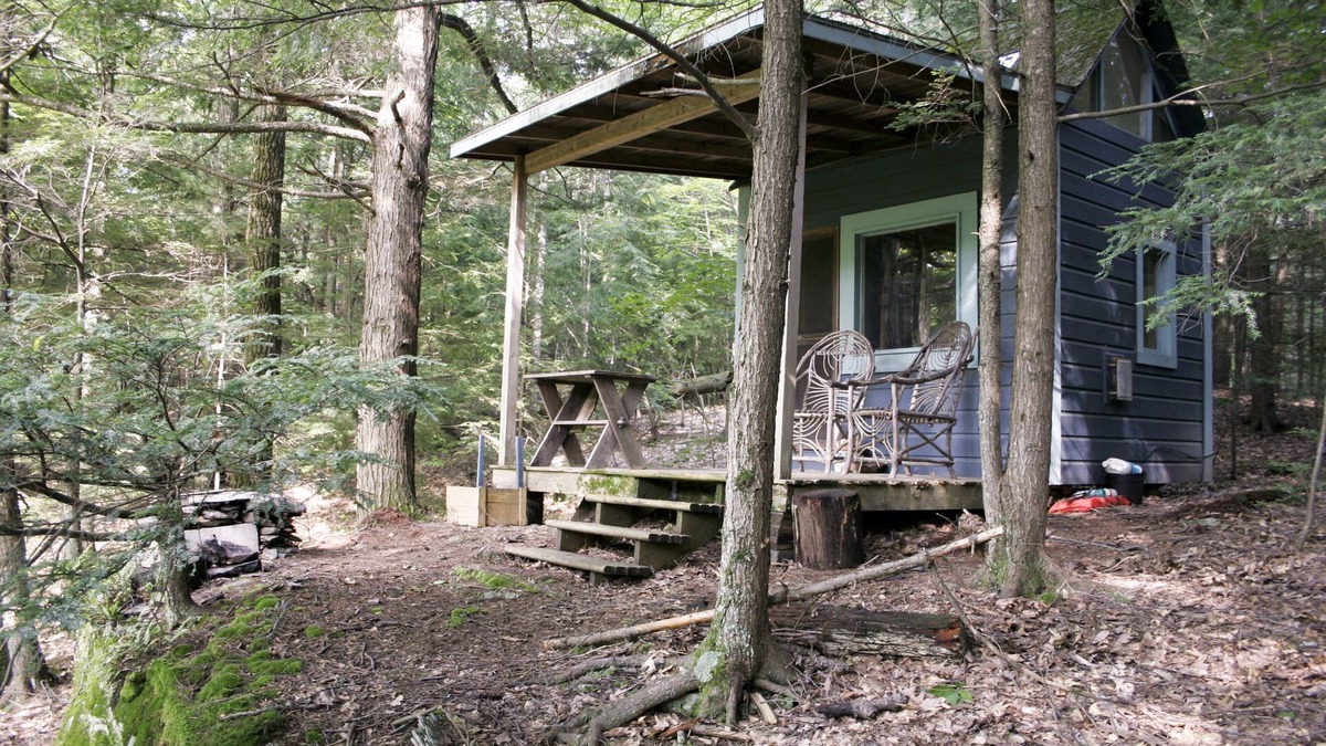 Woodstock Cabin | 'A Place in the Woods' - Cabin on Chloe's Lake on 23 acres near Woodstock, NY
