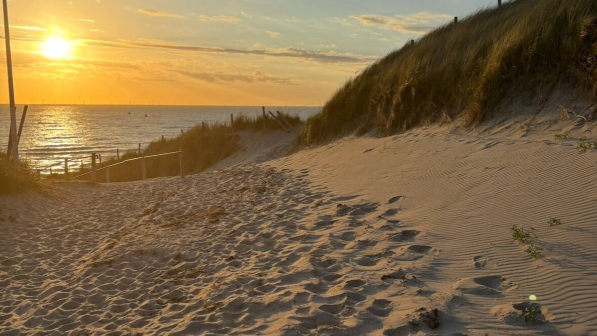 Egmond aan Zee Ski Chalet | A place on the dunes, where the sun always shines, 10 minutes from the beach!