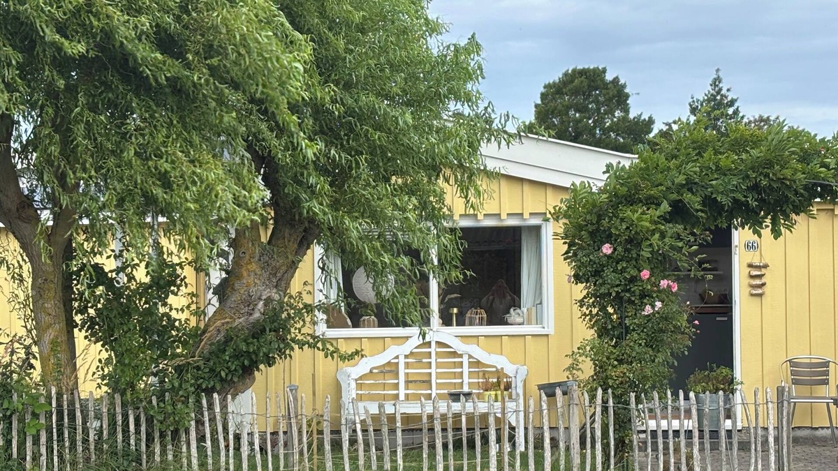 Egmond aan Zee Ski Chalet | A place on the dunes, where the sun always shines, 10 minutes from the beach!