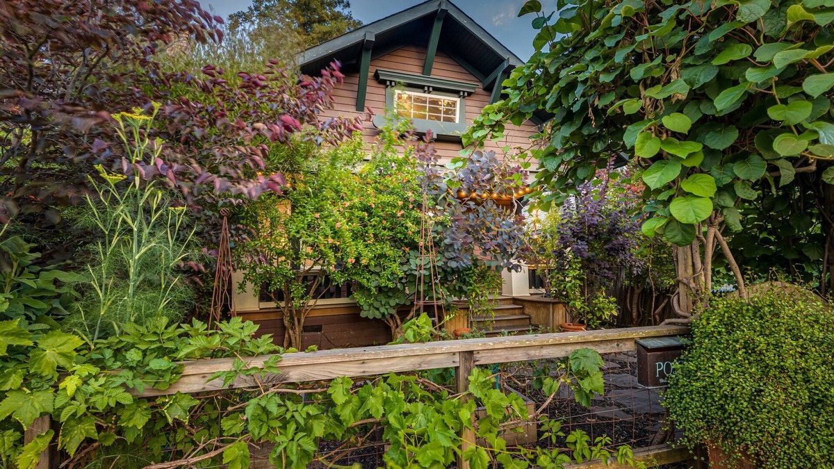 Petaluma House | A private, comfy 3bd-2ba home in the heart of downtown Petaluma!