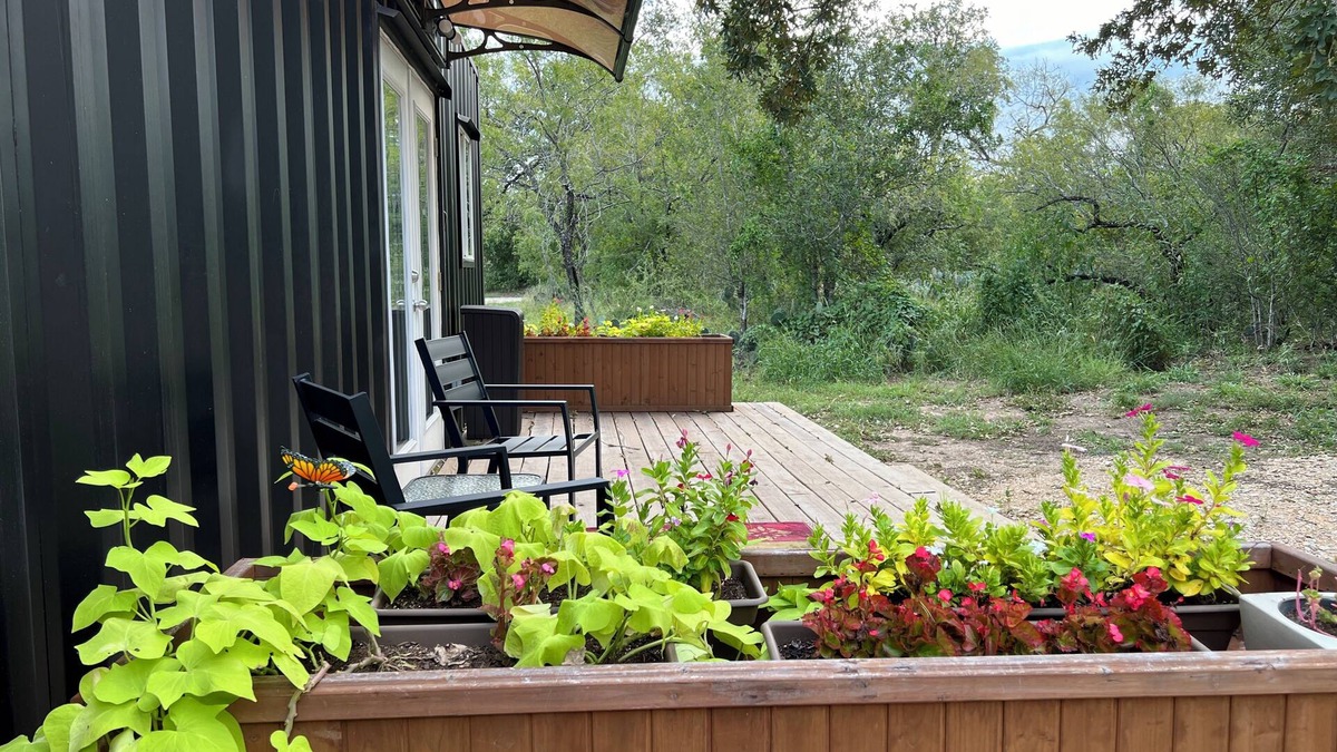 Seguin Cottage | A Private Retreat Surrounded By The Peaceful Charm of Alpacas