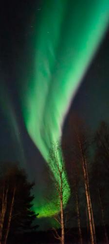 Kolari Apartment | A terraced house by the river!