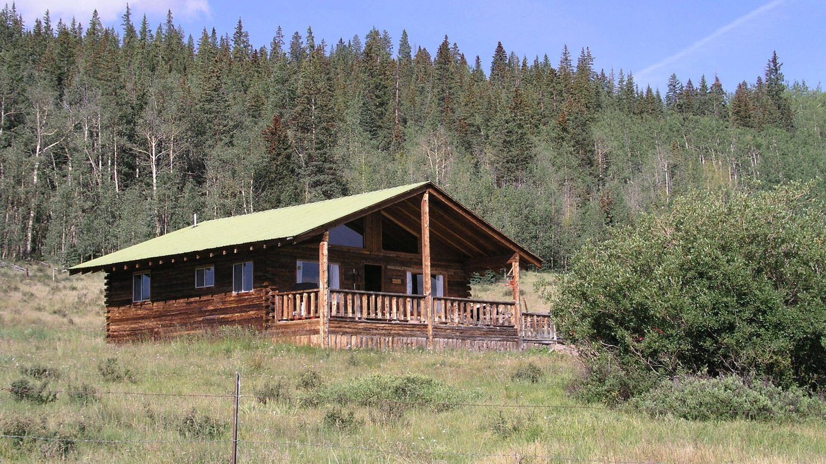 Lake City Cabin | A True Escape and Technology Free in Beautiful Southwest Colorado - Pet Friendly