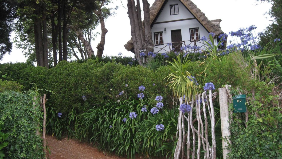 Santana House | A Typical House - Santana - Parking - Free Wifi