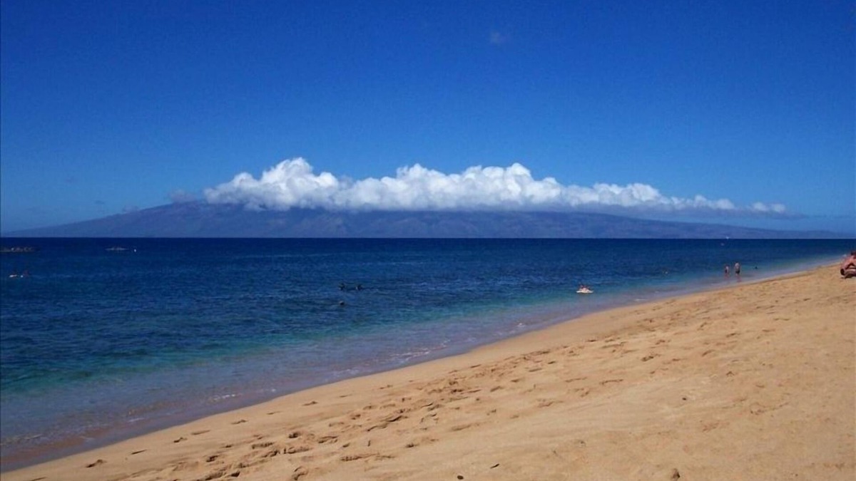 Kaanapali Cottage | A unique dolphin cabin in Kaanapali!