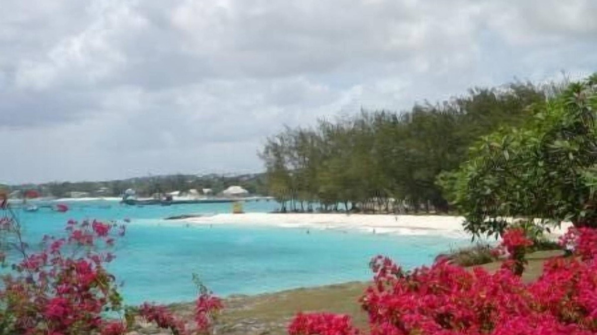 Enterprise House | A very comfortable house, close to Miami beach with a large tropical garden