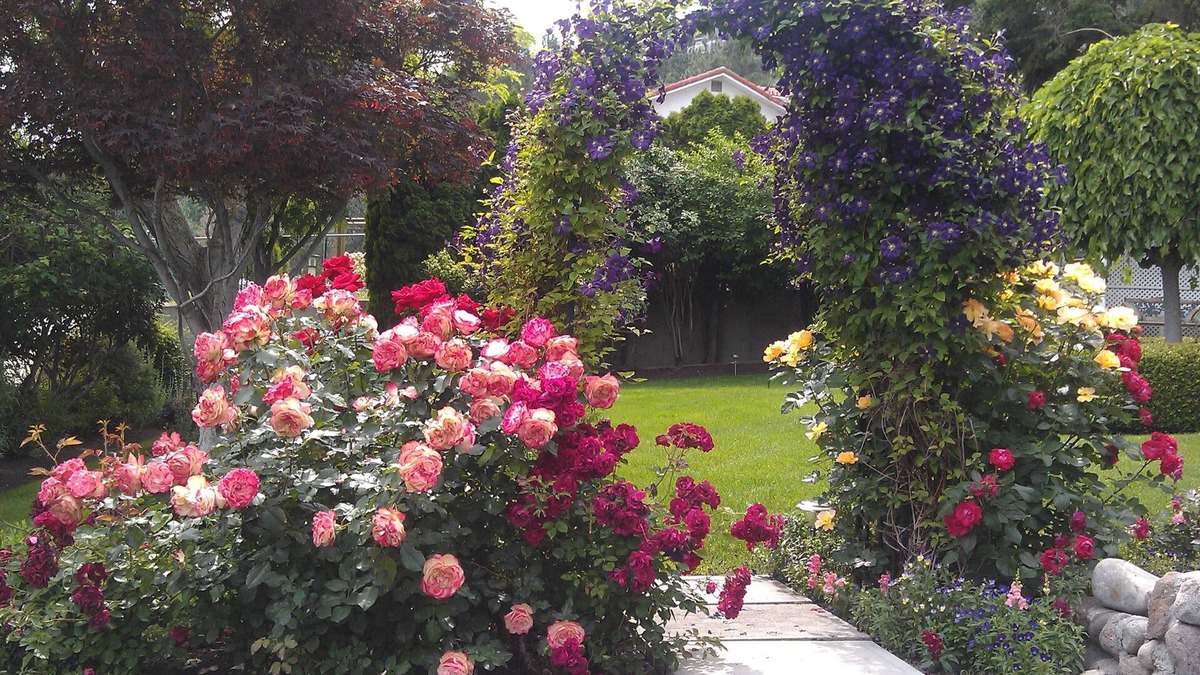 Central Okanagan Bed & Breakfast | A View to Remember Bed & Breakfast