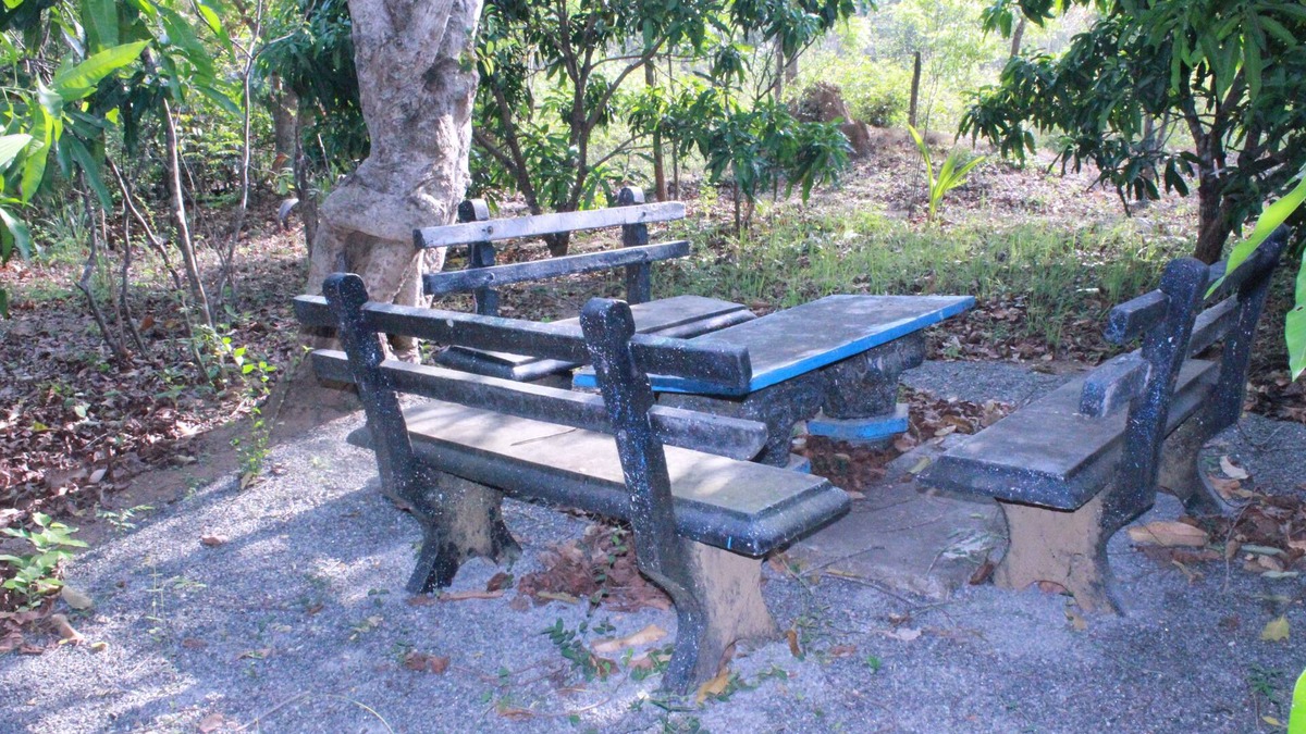 Habarana House | Abawaththa Guest House