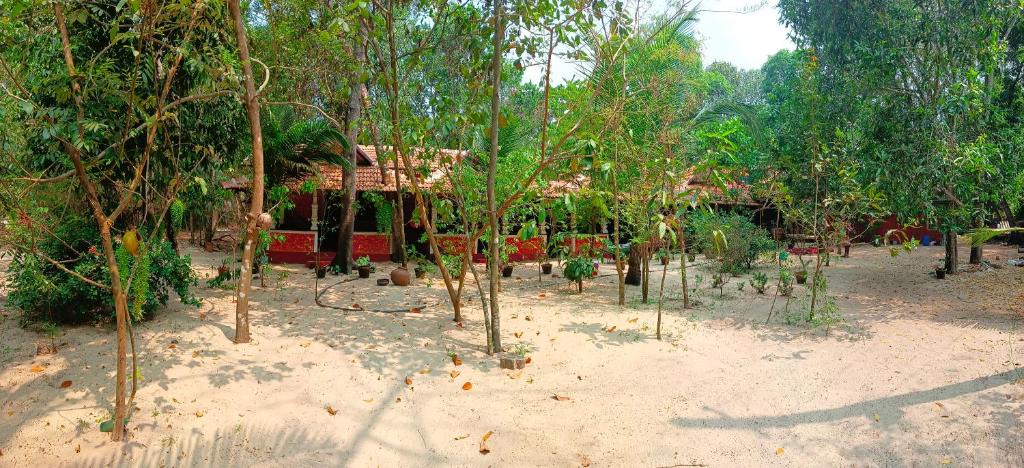 Mararikulam House | AbbA Marari Beach Villas & Homestay Mararikulam