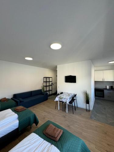 Grunwald Apartment | Abra Apartment X