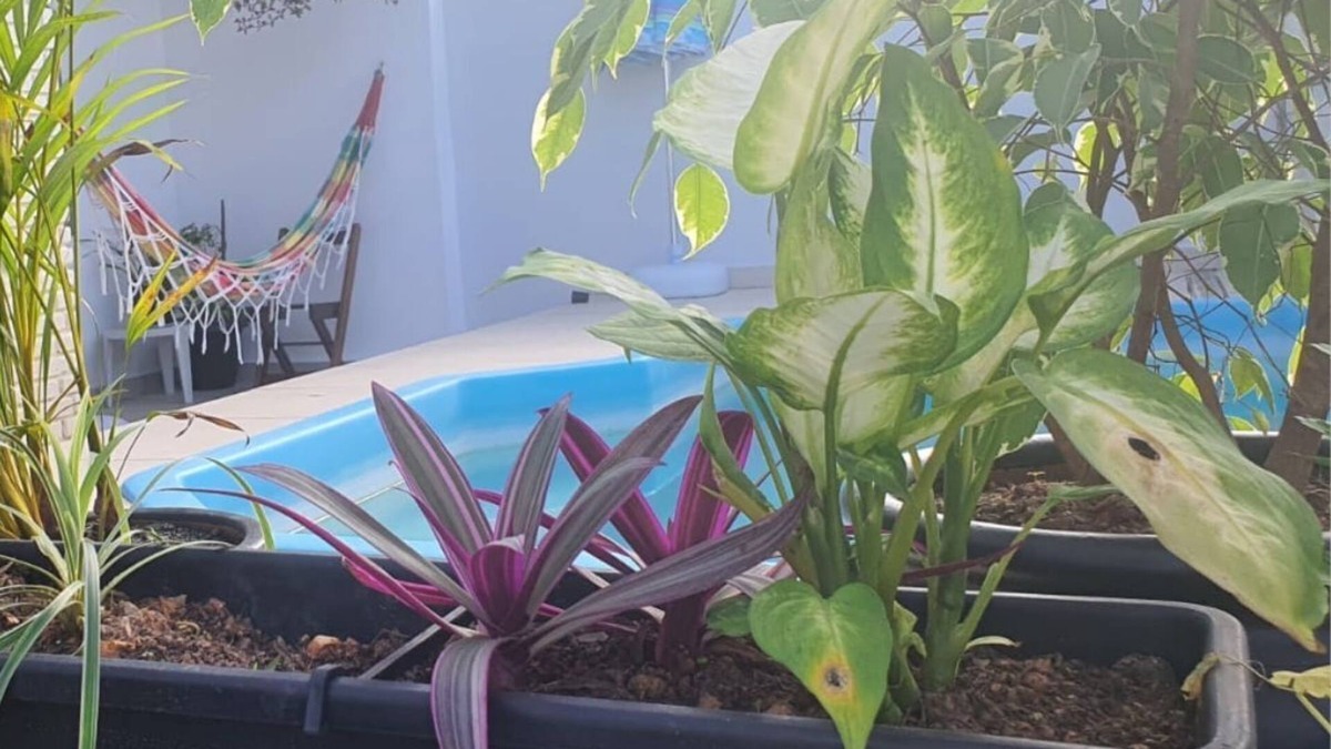 Jardim Imperador House | Accommodates 6p - Air, Wifi and Pool