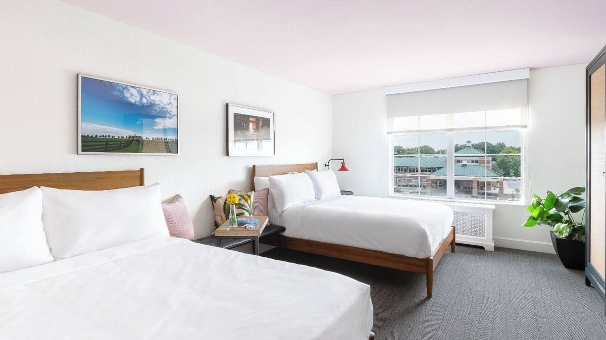 Lexington Hotel | Accommodation Right in the Heart of the City | Pets Are Allowed