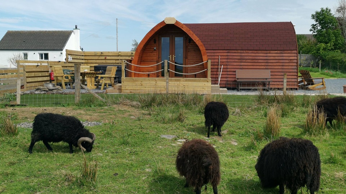 Spittal Cabin | Achmeney Glamping, larger than Average pod