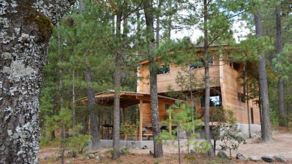 Pueblo Nuevo Cabin | Acogedora Cabaña del bosque Parque La Pirámide