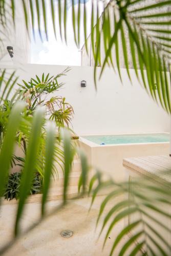 Chetumal House | acogedora casa con hospedaje para 2 personas