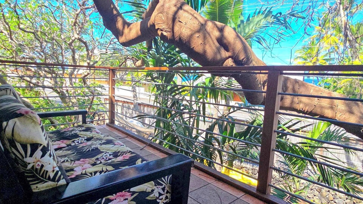 Kahaluu Bay Cabin | Across the ocean Treehouse at the Salty Jungle Kona - Perfect for two!