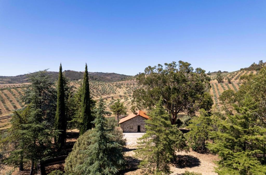 Vila Flor Ski Chalet | Acushla Original House Douro