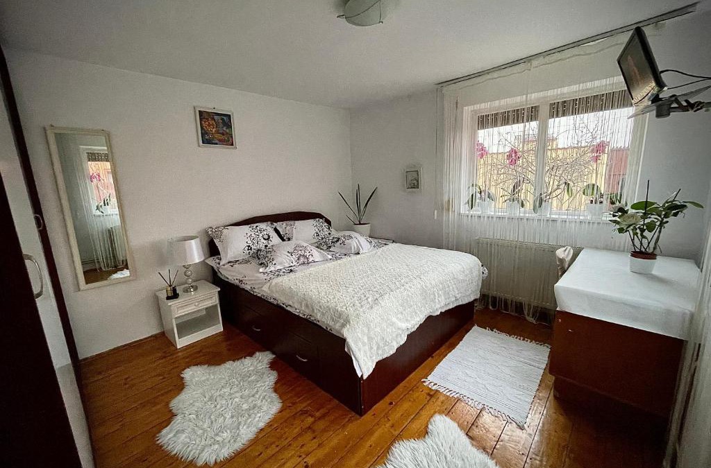 Craiova House | Ada-Ini House