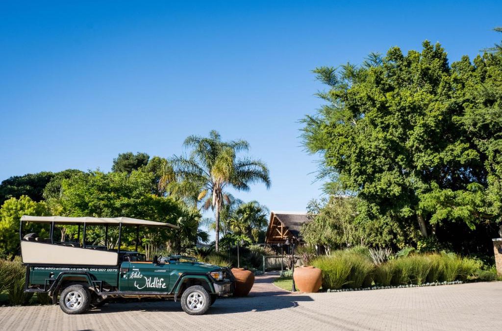 Addo Cabin | Addo Wildlife