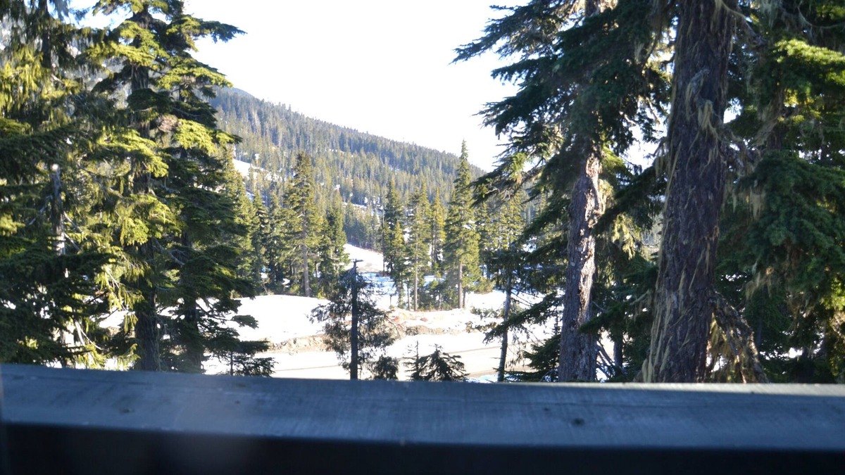 Courtenay Ski Chalet | Adjust your altitude, Stay in Comfort, but Venture out of your comfort zone