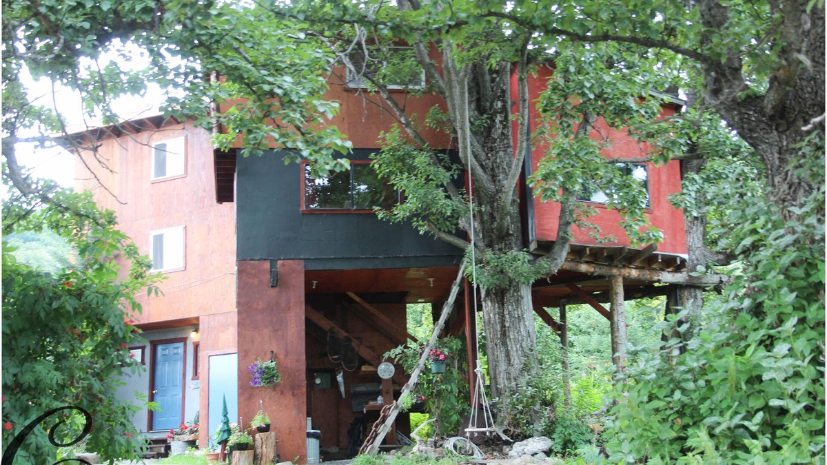 Homer Cabin | Adorable Tree House/Full Ammenities