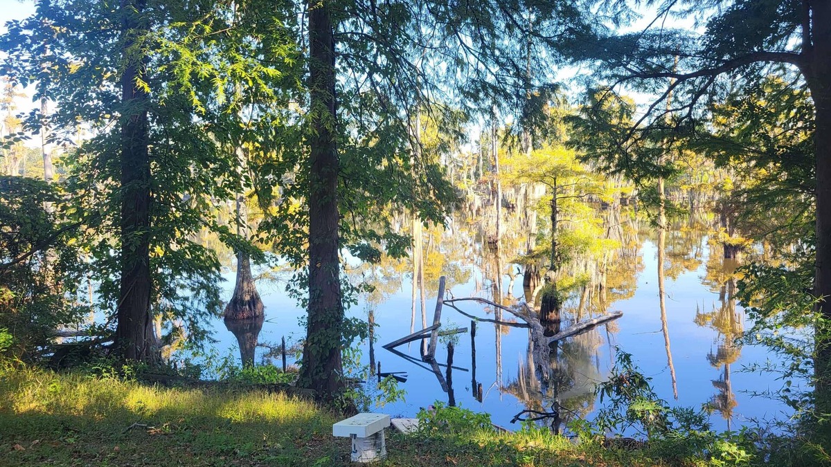 Monroe House | Affordable 7-bedroom house on the bayou in Monroe