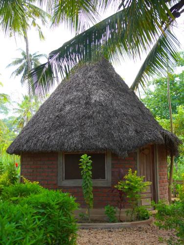 Tanzania House | AFLII Homestay