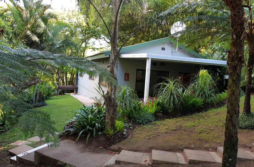 uMlalazi House | African Dwarf Kingfisher Guesthouse